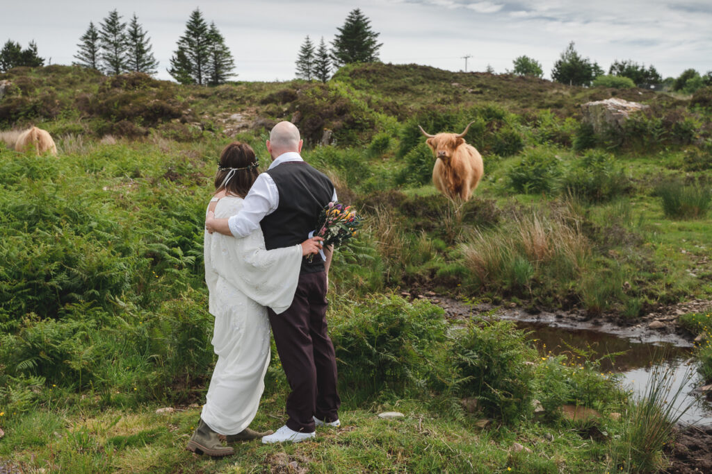 Bride and groo stand with a highland cow on The Isle of Skye